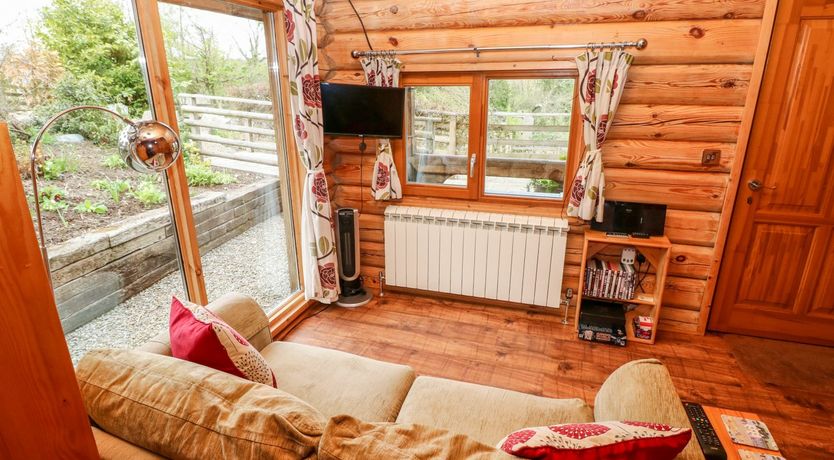 Photo of Little Trees