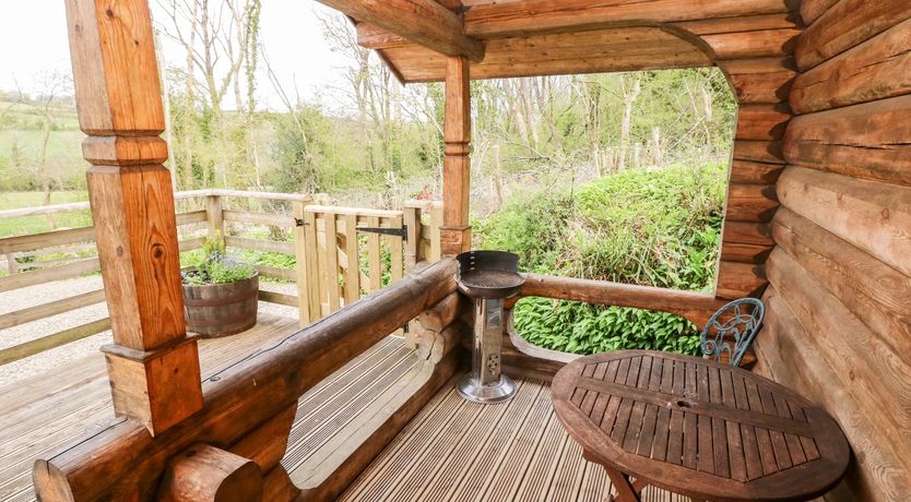 Photo of Little Trees