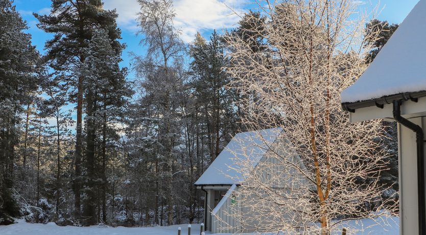 Photo of Golden Eagle Lodge