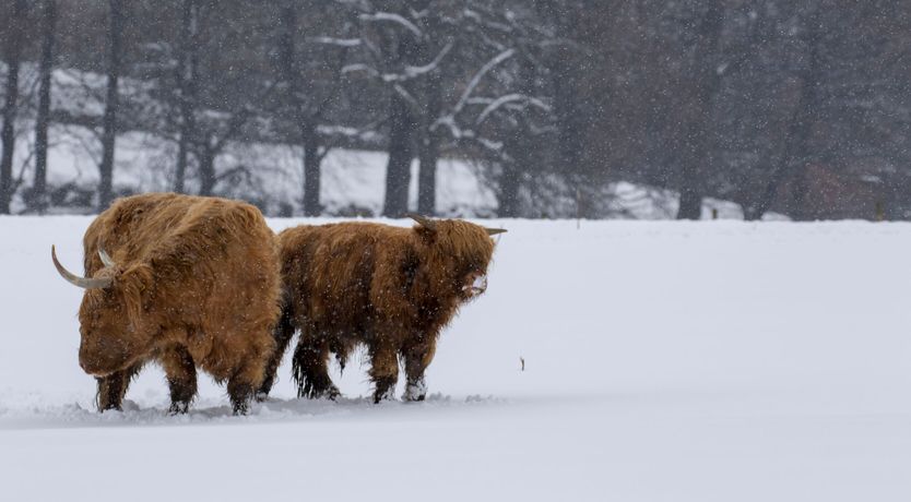 Photo of Otter Lodge