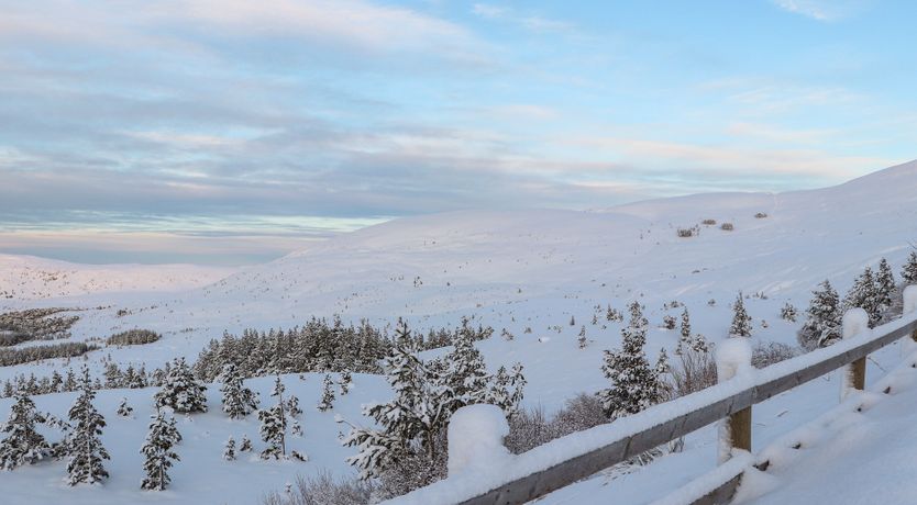 Photo of Mountain Hare Apartment