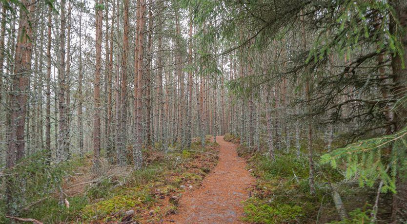 Photo of Red Deer Lodge