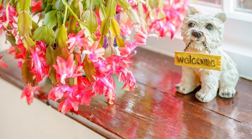 Photo of 2 Bed in Black Torrington