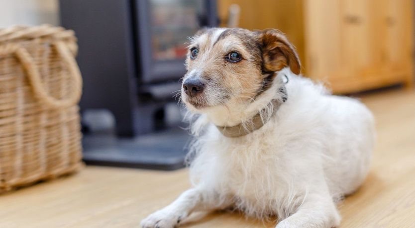 Photo of 1 Bed in Prixford