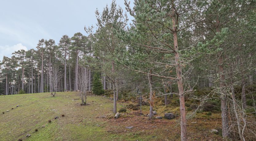 Photo of Osprey Apartment