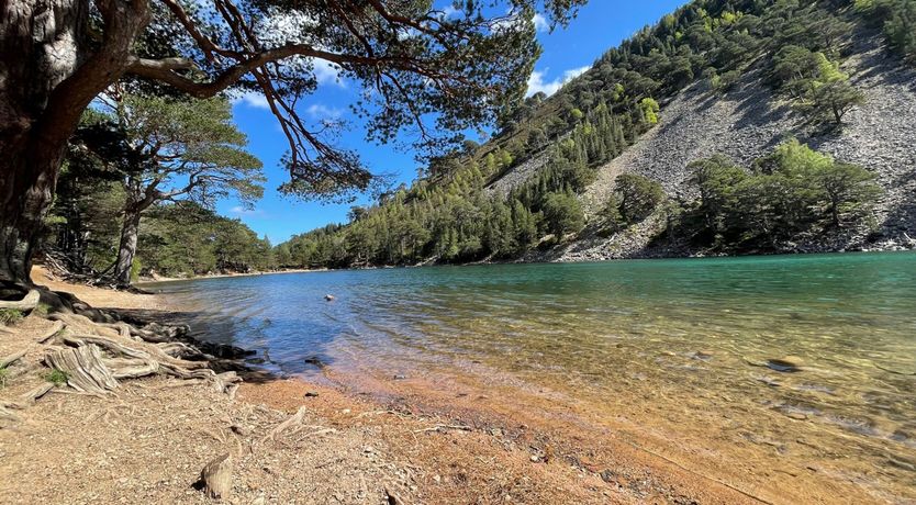 Photo of Osprey Apartment