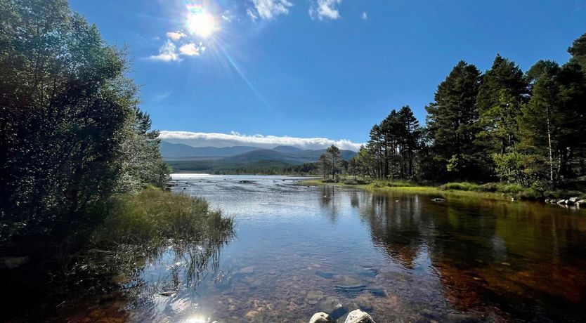 Photo of Osprey Apartment
