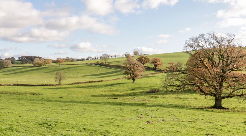 Photo of Squires Rest