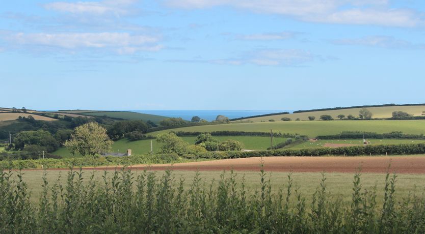 Photo of Little Piccadilly