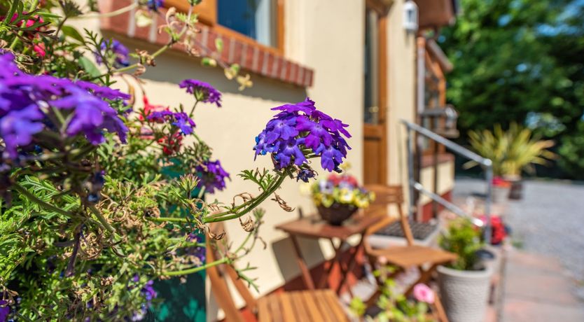 Photo of Covert Farm Cwtch