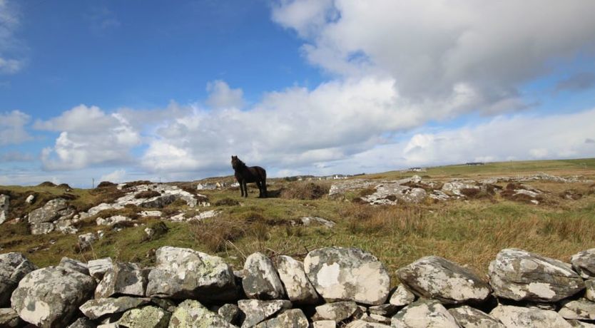 Photo of Connemara Lodge