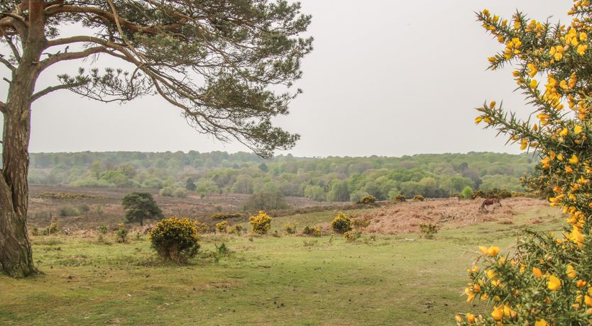 Photo of Starboard Light