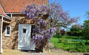 Photo of Wisteria Cottage