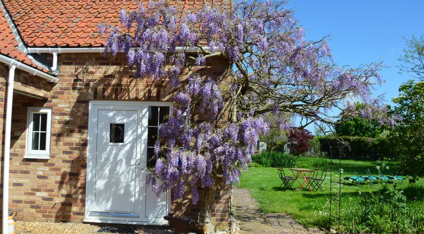 Photo of Wisteria Cottage