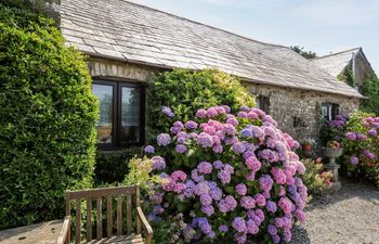 Coach House Cottage Holiday Cottage