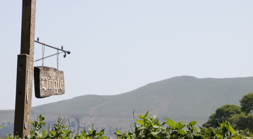 Photo of The Little Dingle