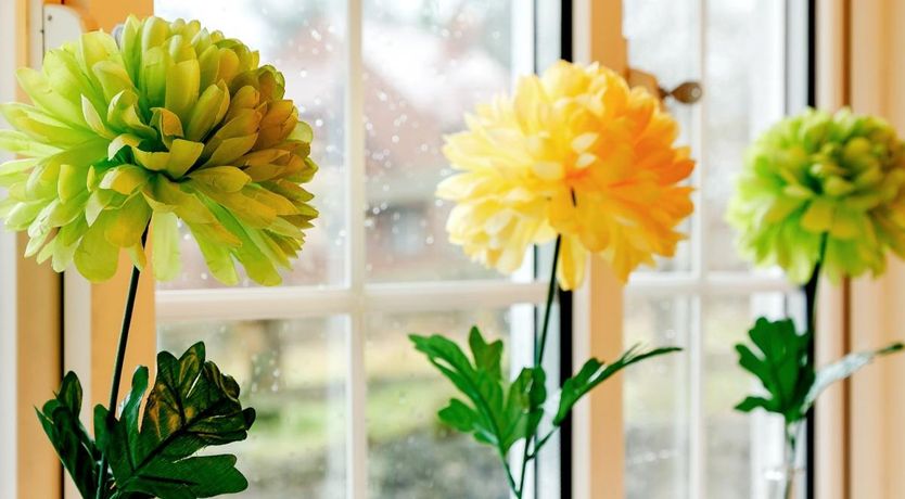 Photo of 2 Bed in Christchurch