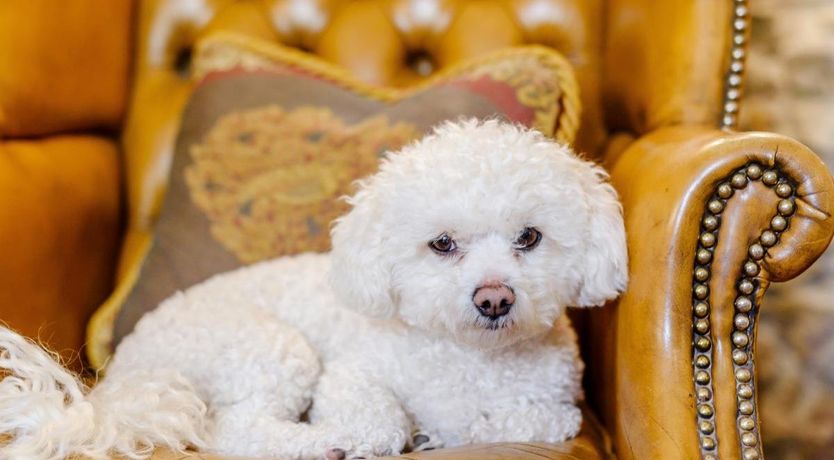 Photo of 7 Bed in Ullock