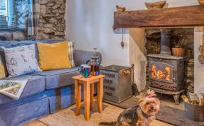 Photo of 1 Bed in Llanaelhaearn