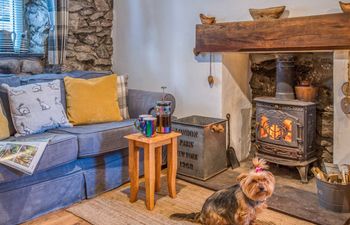 1 Bed in Llanaelhaearn Holiday Cottage