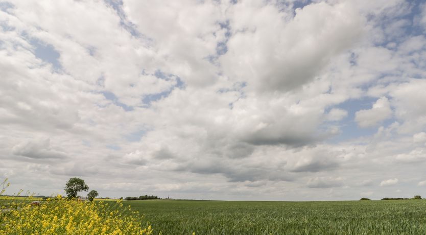 Photo of Pipistrelle Cottage