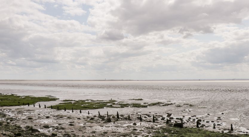 Photo of Pipistrelle Cottage