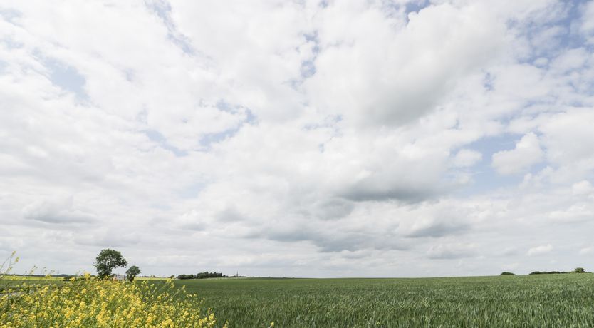 Photo of Robin's Nest Cottage