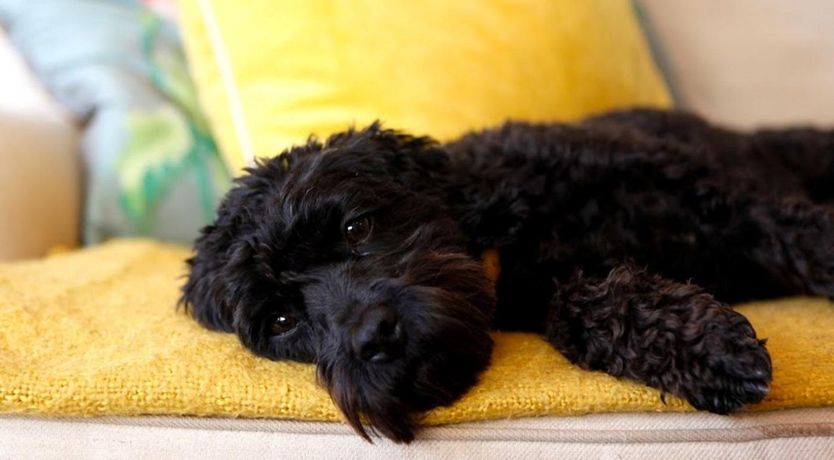 Photo of 9 Bed in Hereford