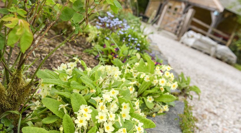 Photo of Mimi's Cottage