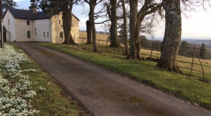 Photo of Wester Riechip