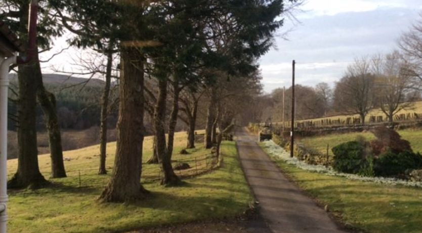 Photo of Wester Riechip