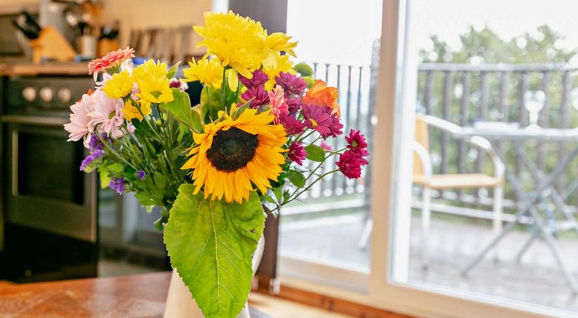 Photo of 1 Bed in Bickington