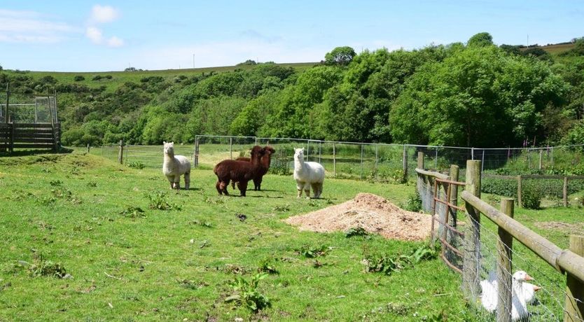Photo of Barn in North Devon