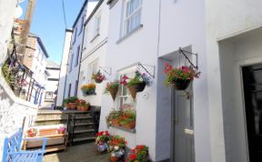 Photo of in Appledore (DOLPH)