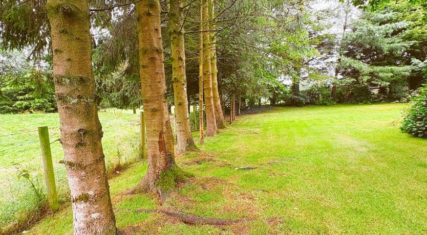 Photo of 2 Bed in Holsworthy