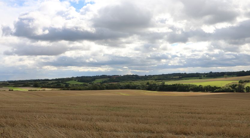 Photo of The Pinfold