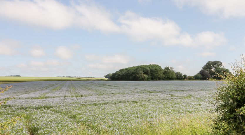 Photo of Lavender Cottage