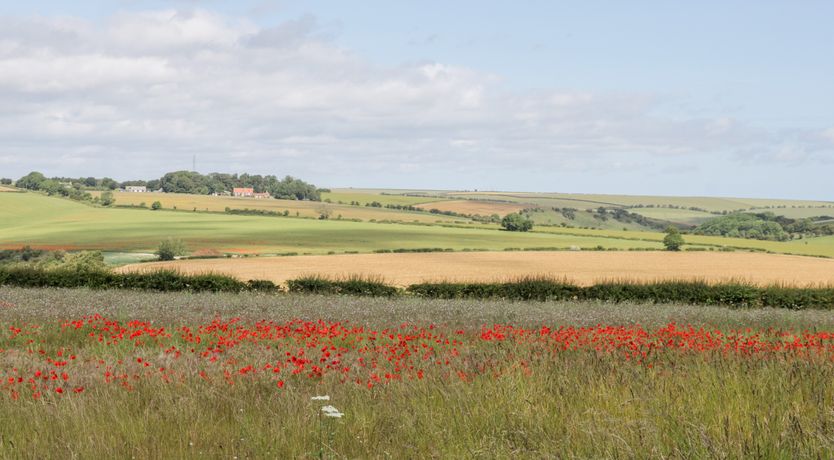 Photo of Lavender Cottage