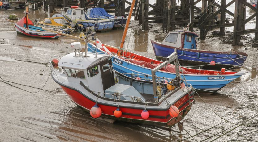 Photo of Shore Thing 280