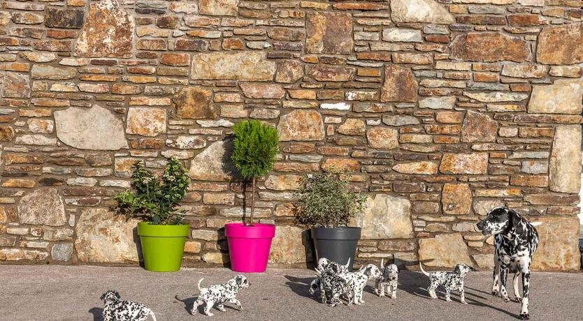 Photo of Curragh House Lodges