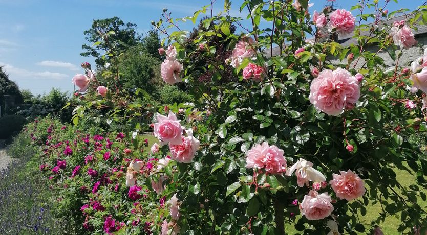 Photo of Sandbrook House & Gardens
