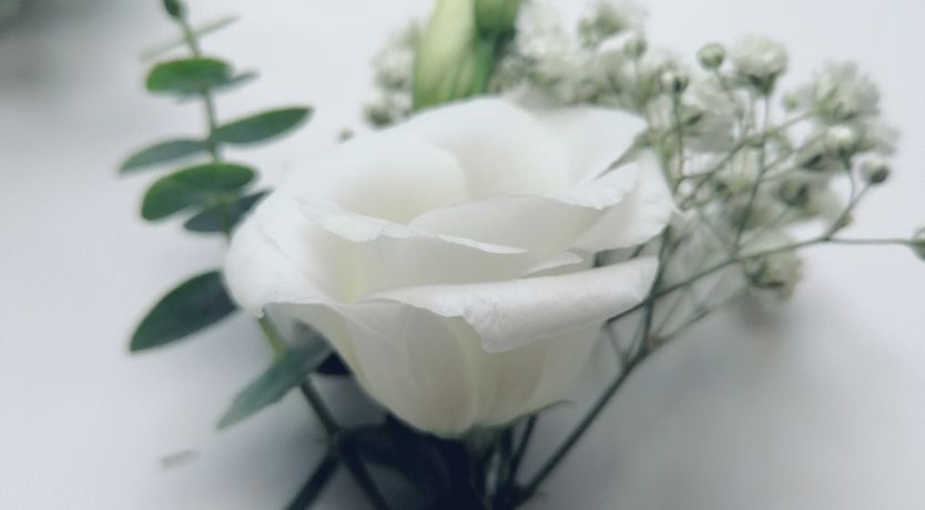 Photo of Sandbrook House & Gardens