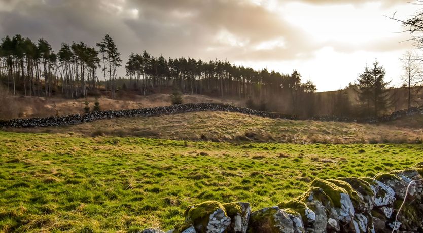 Photo of Borgan Cottage