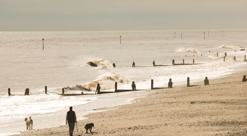 Photo of Lavender Lodge