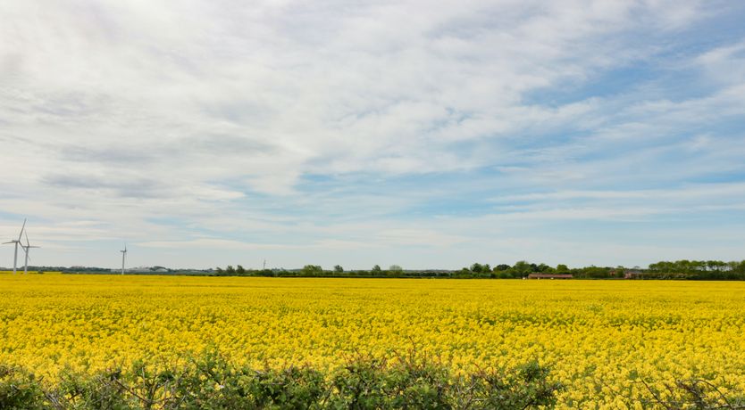 Photo of Meadow View