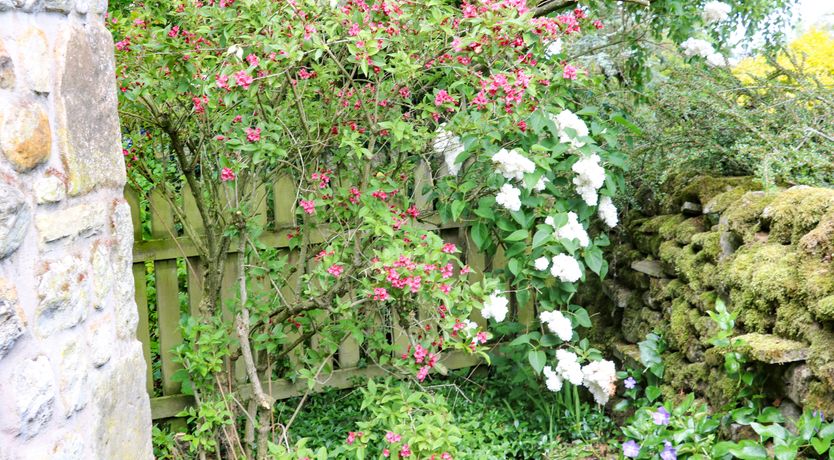 Photo of Smithy Cottage