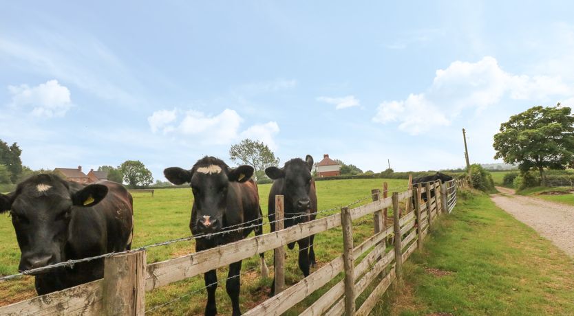 Photo of Church View Cottage