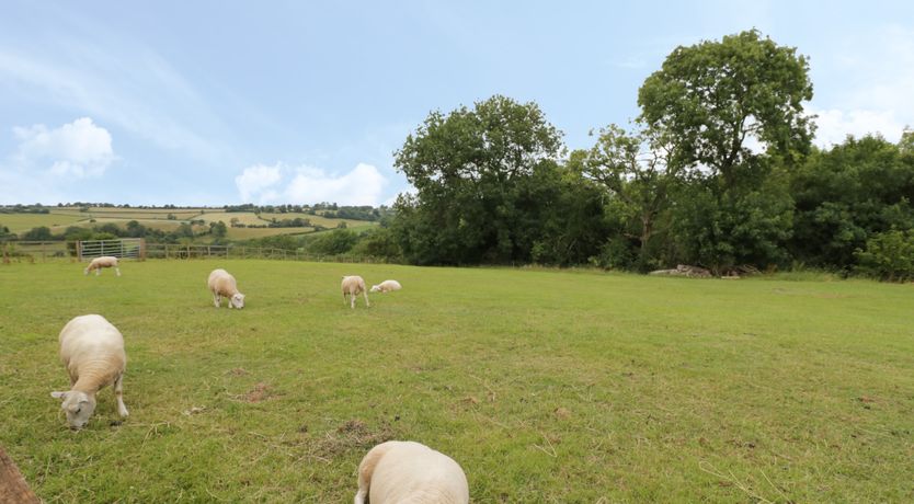 Photo of Holmer Farm