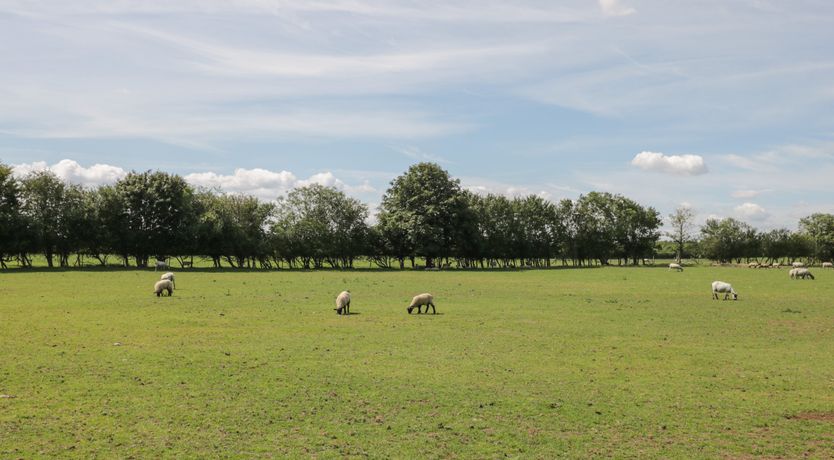Photo of Swallows, 1 The Old Stables
