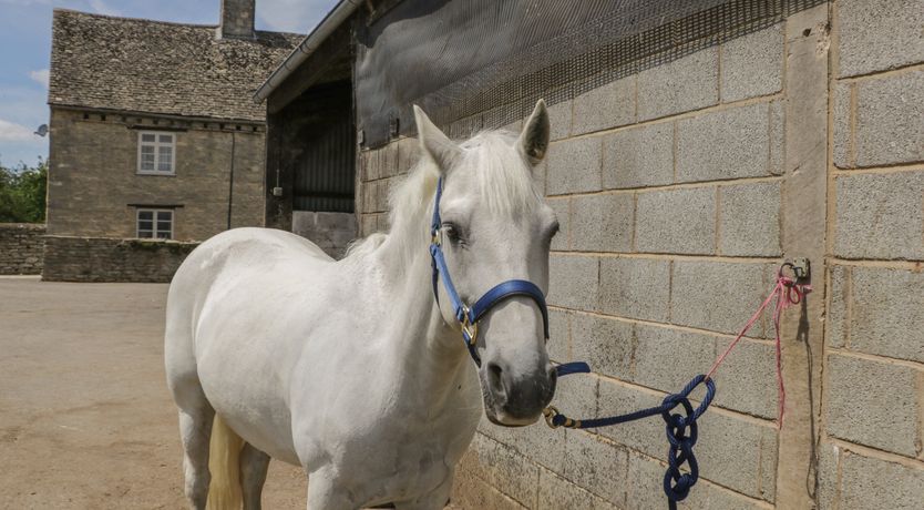 Photo of Swallows, 1 The Old Stables